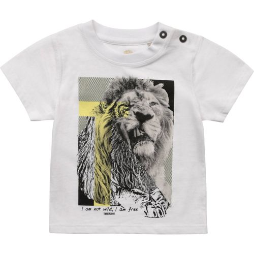 Timberland Jungen T-Shirt Löwe