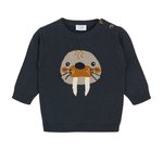 Hust and Claire Baby Jungen Pullover