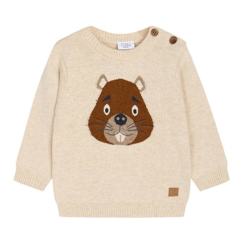 Hust and Claire Baby Jungen Pullover Pilou